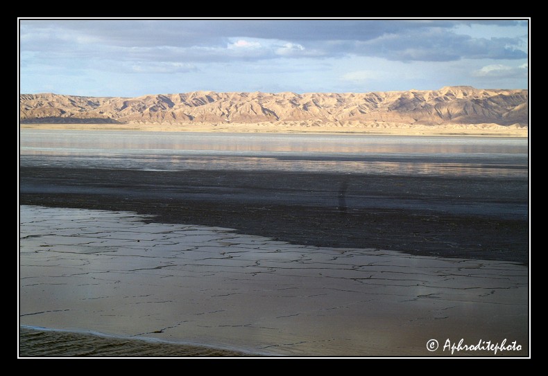 172 Le Chott El Jerid, un immense lac dans une mer de sable